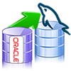 Oracle to MySQL Database Converter