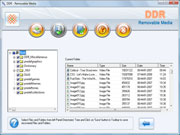 USB storage media data recovery software